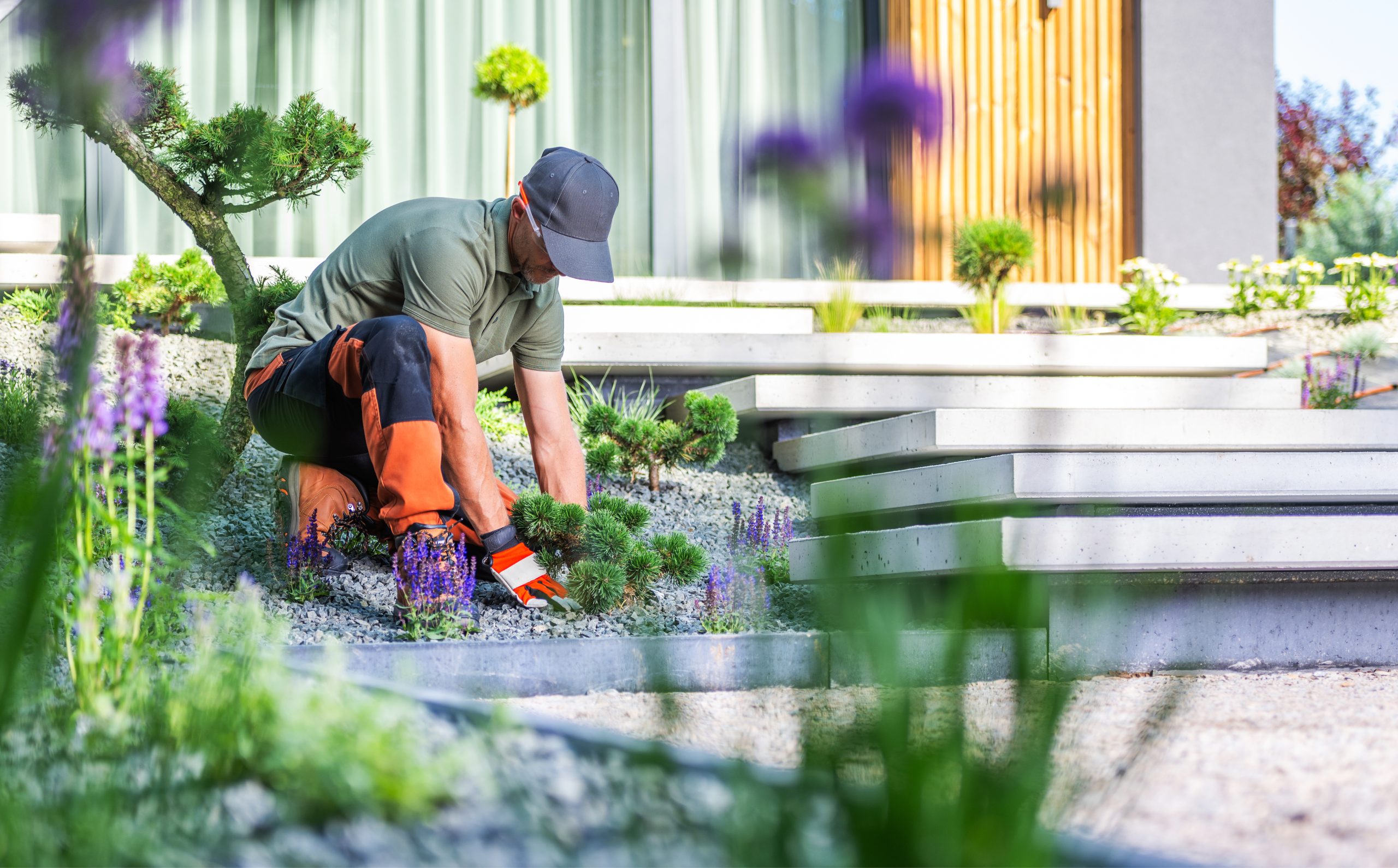 A gardener is carefully working in a contemporary garden, planting flowers and pruning shrubs under bright sunlight, creating a vibrant outdoor space.
